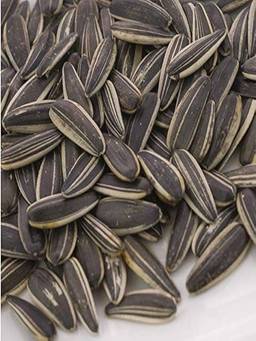 Sunflower salted seeds
