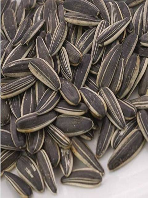 Sunflower salted seeds