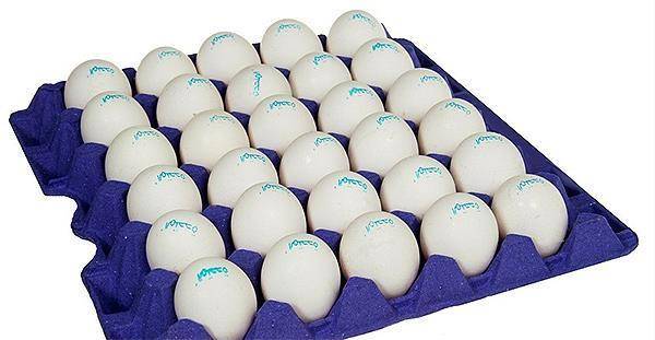 Eggs