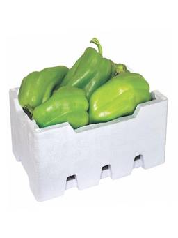 Capsicum box