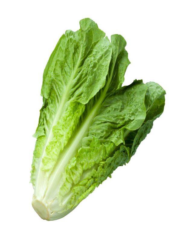 Lettuce
